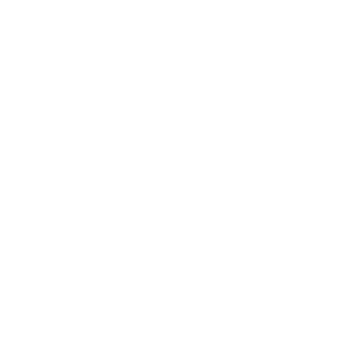 feature-item-4