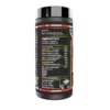 Black Lion Research: Androgin